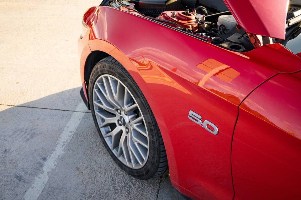 Mustang V8