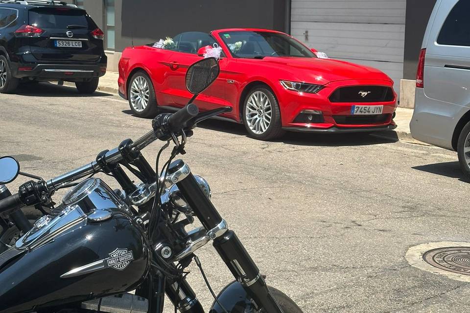 Coche preparado para boda