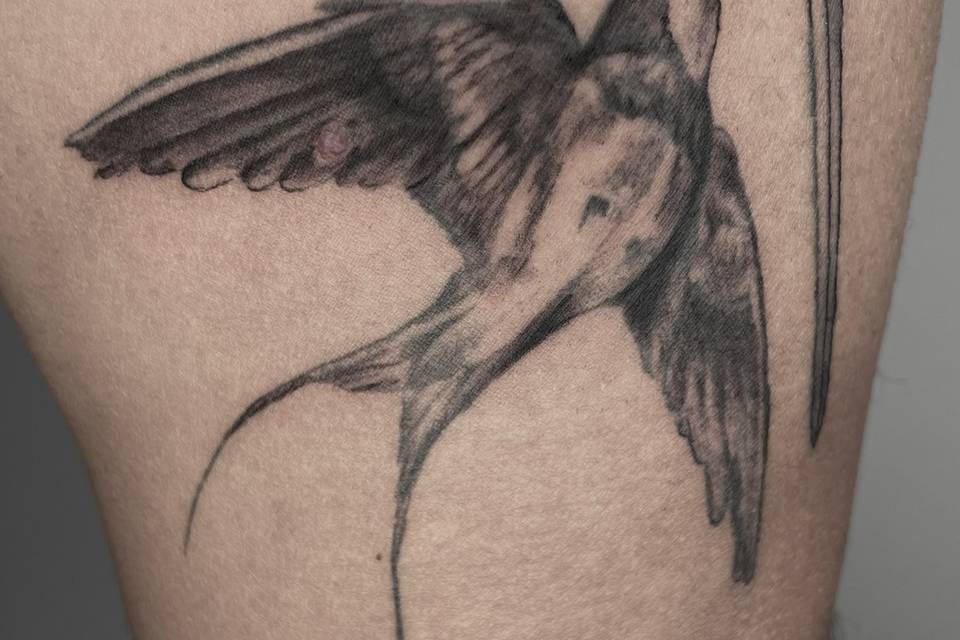 Realismo golondrina