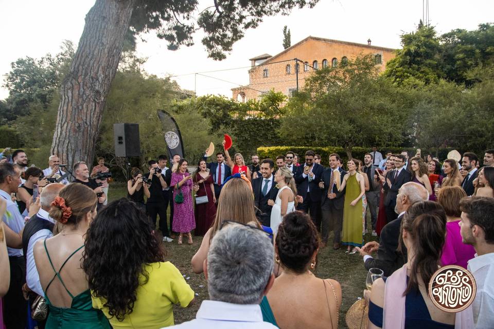 Boda de bodas