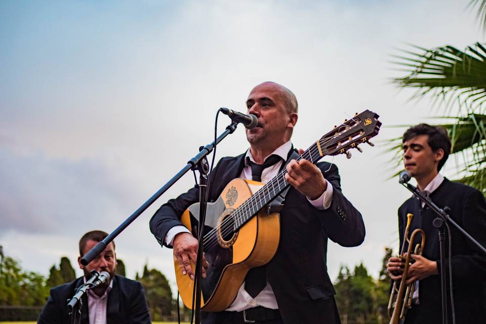 Live Music - Tradición