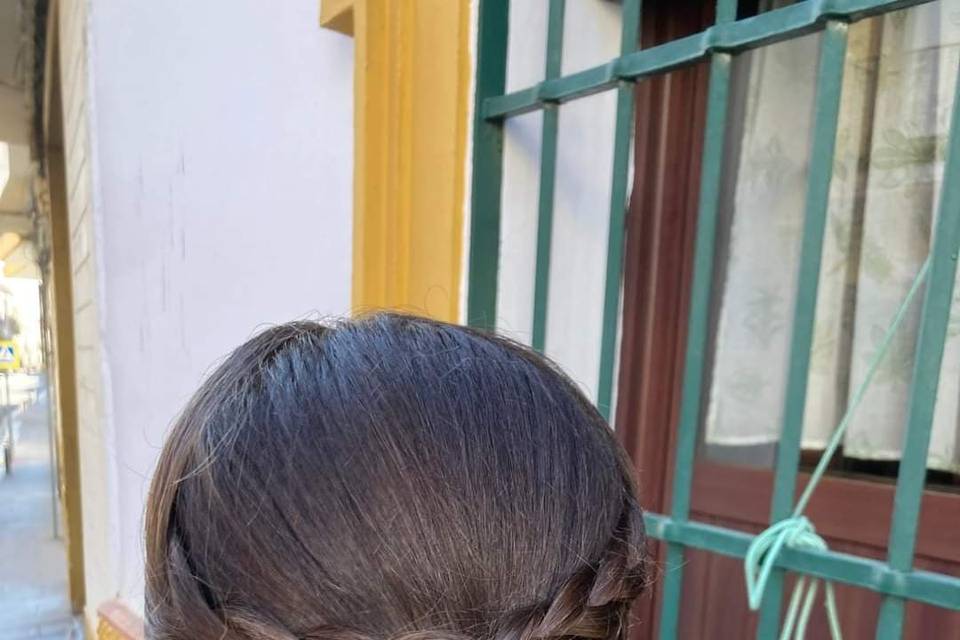 Recogido trenzado