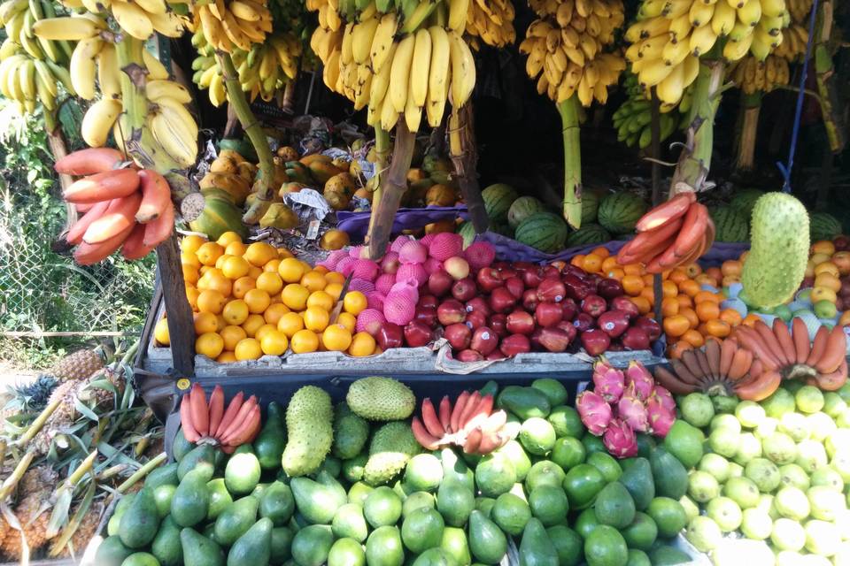 Sri Lanka