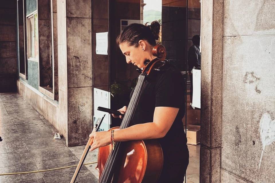 Sandra - Violonchelista