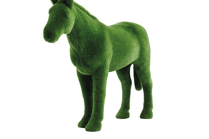 Caballo