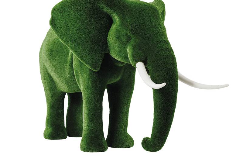 Elefante