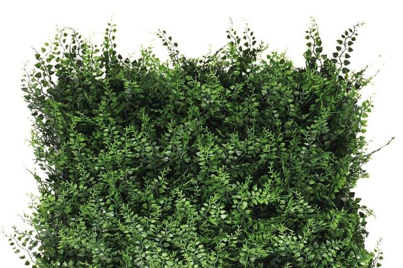Jardin vertical 1x1