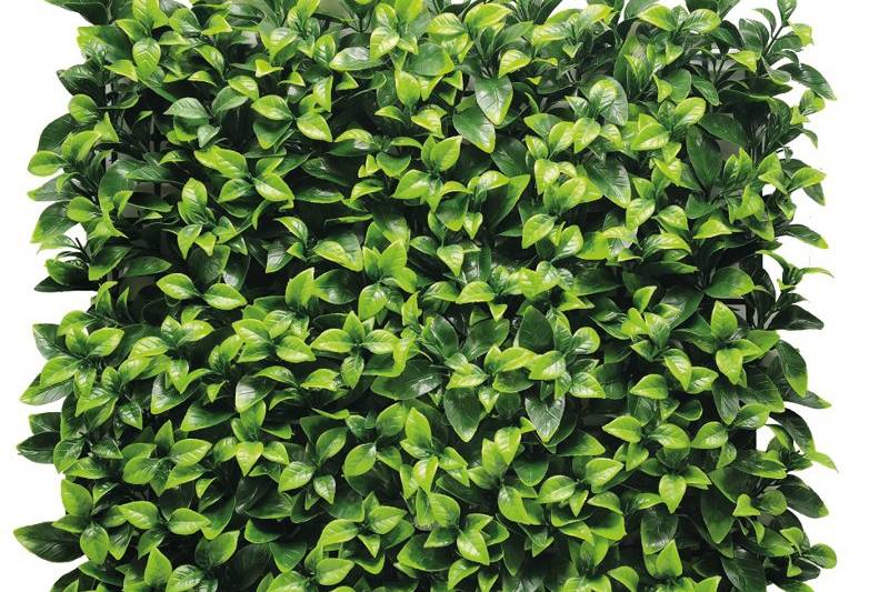 Jardin vertical 1x1