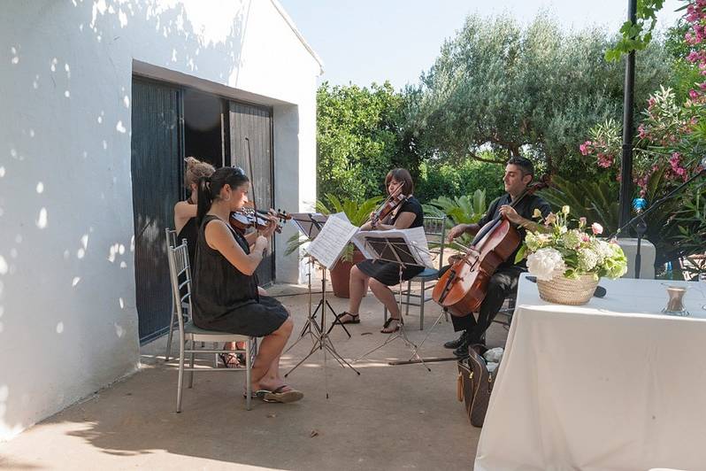 Música en directo