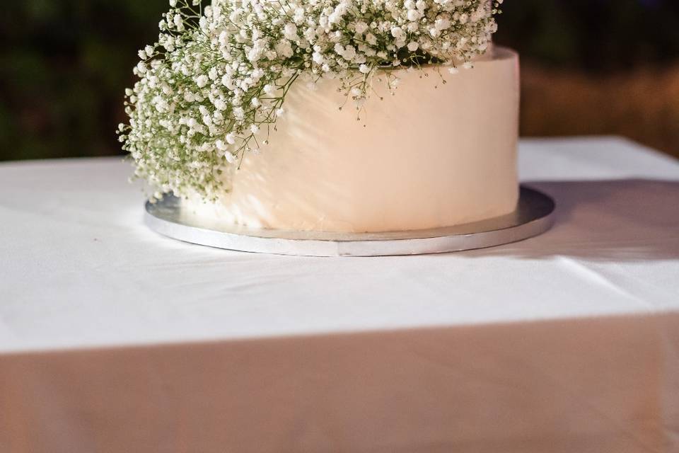 Tarta sencilla y elegante