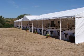 Carpas y Eventos Menorca