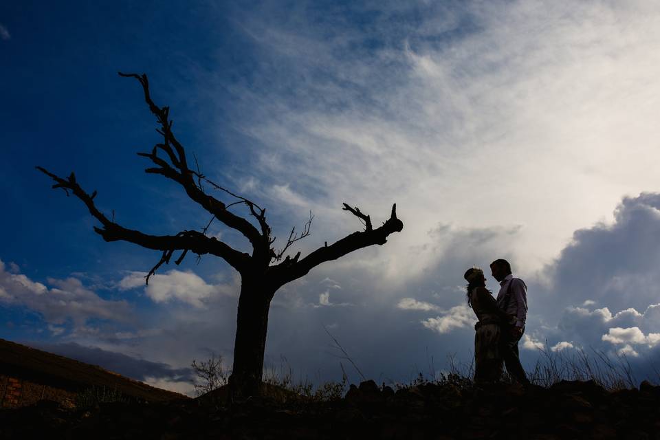 Fotógrafo de bodas