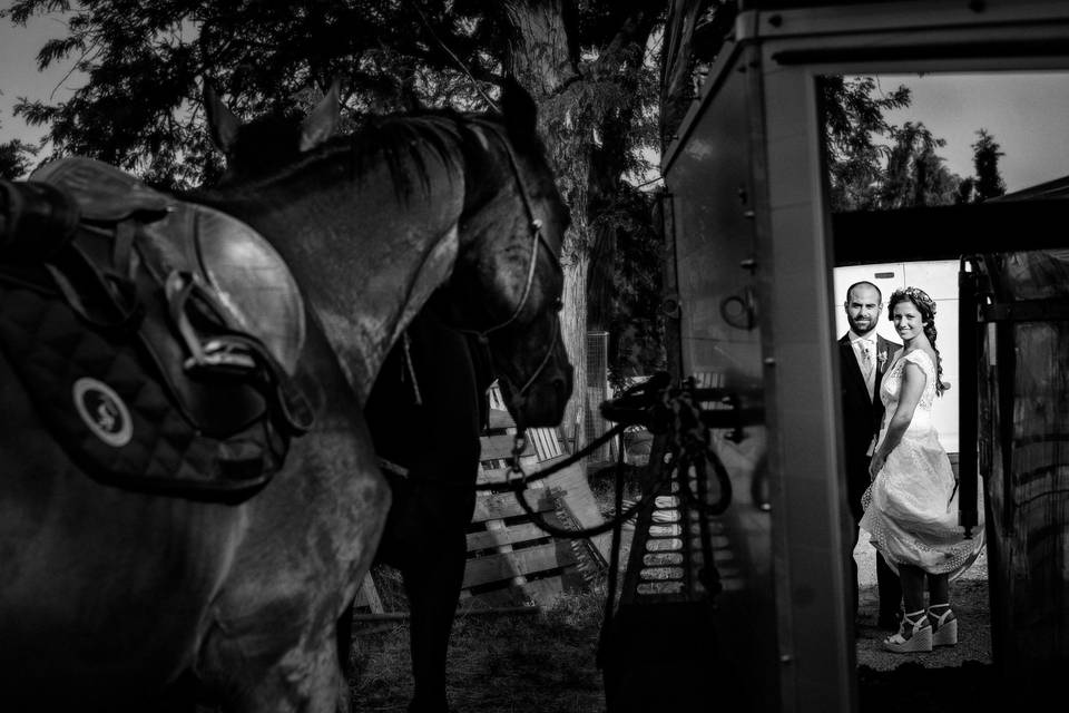 Boda en Jardines del Monasterio