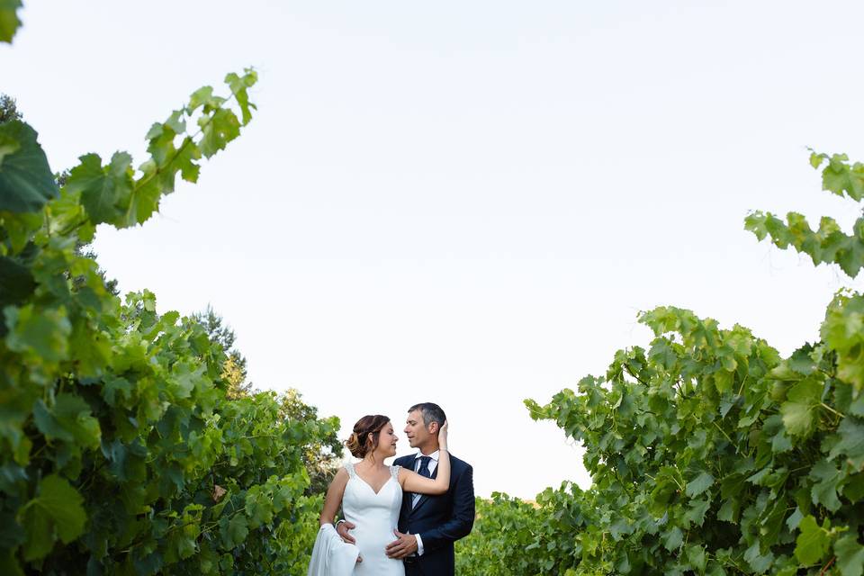 Postboda entre viñedos