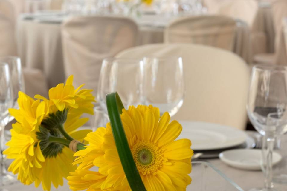 Detalles