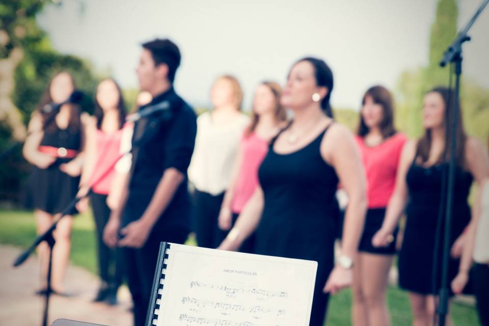 Cantando en una boda
