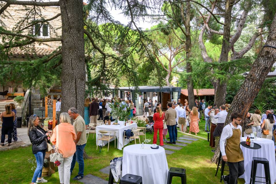 Bodas