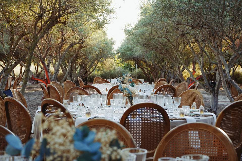 Finca San Ramón