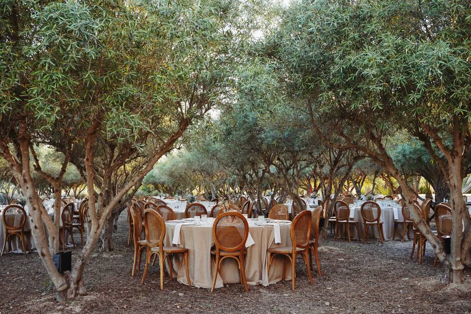 Finca San Ramón