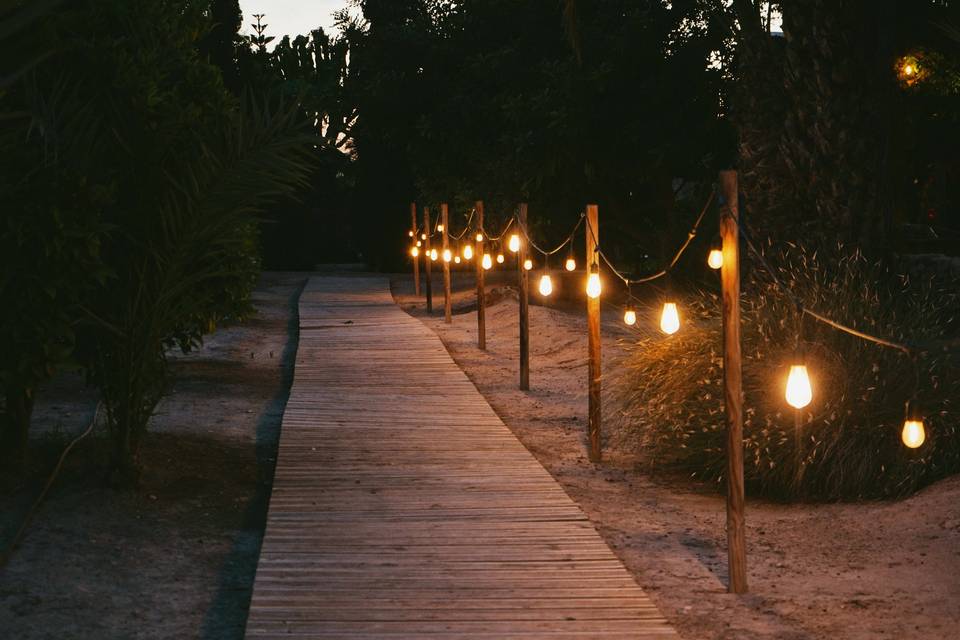 Finca San Ramón