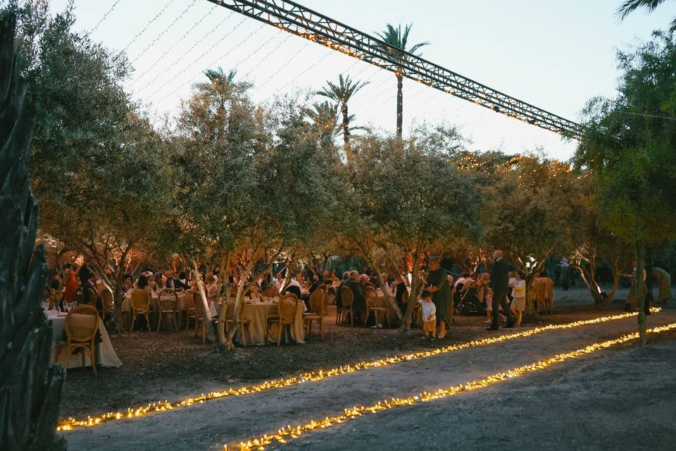 Finca San Ramón