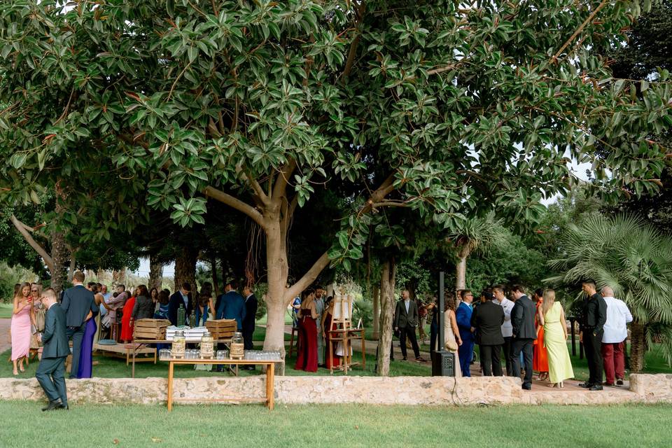 Finca San Ramón