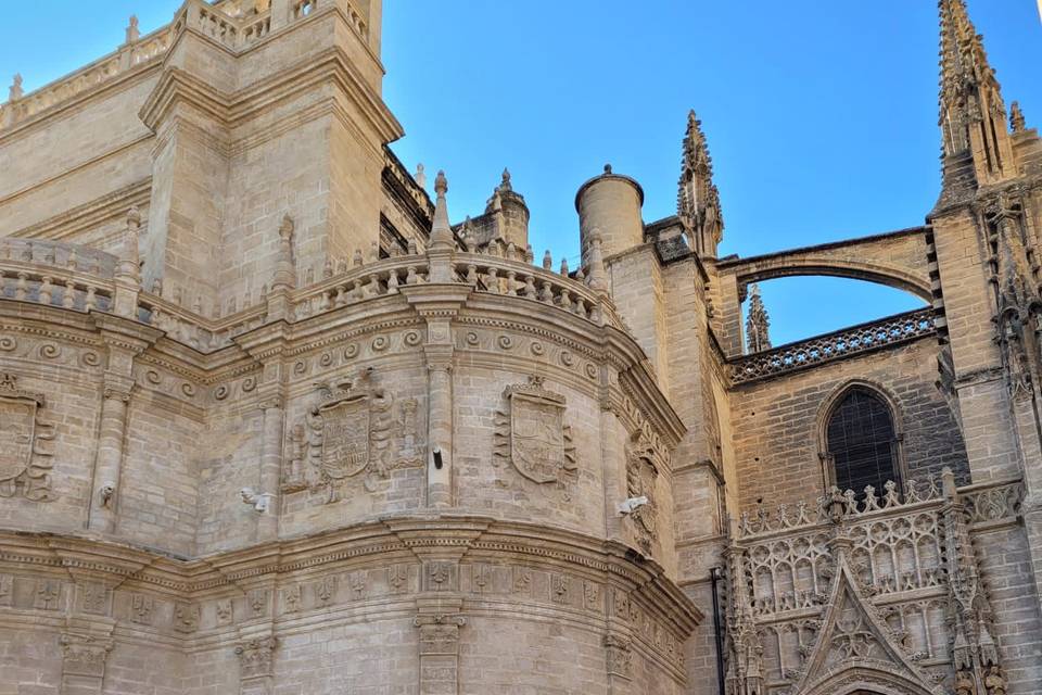 Boda en la catedral