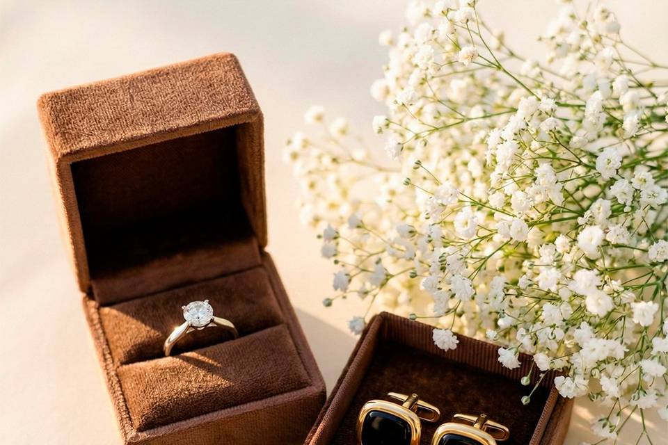 Anillo compromiso - Gemelos