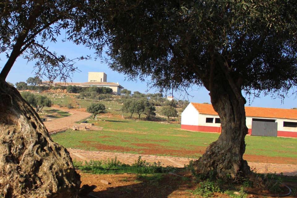 Finca El Mirador de la Dehesa