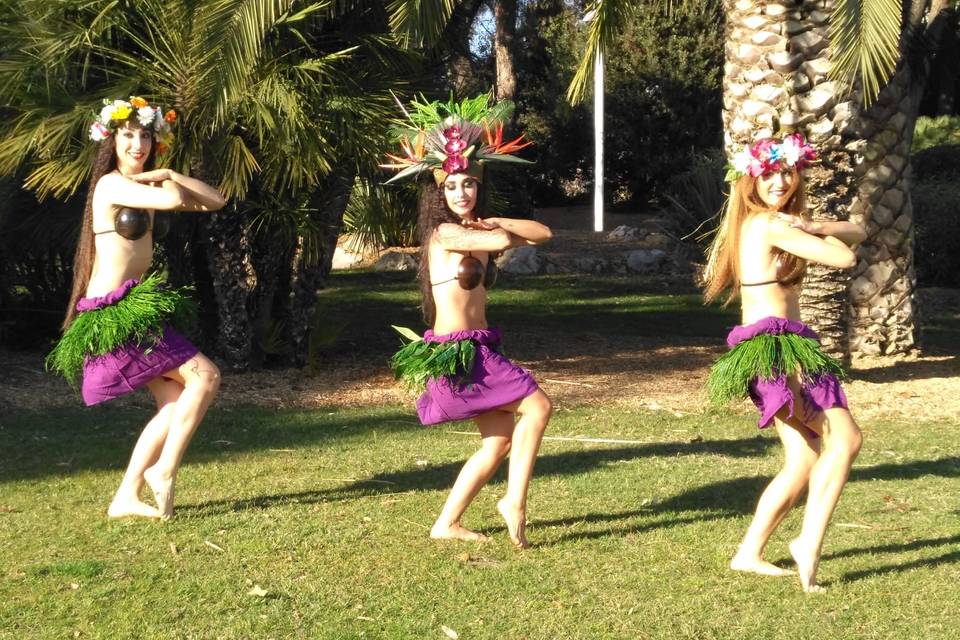 Show de danza tahitiana