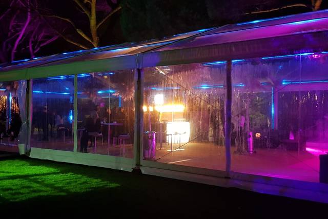 Carpas iluminadas