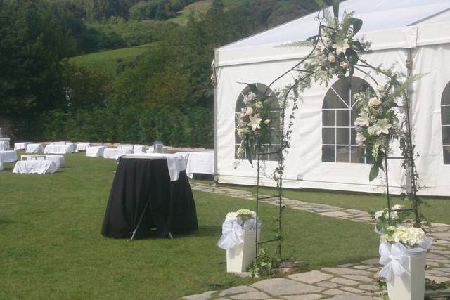 Carpas con ventanas