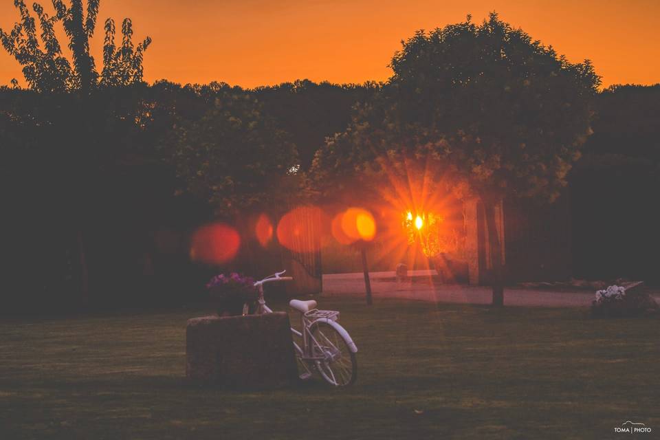 Atardecer de boda