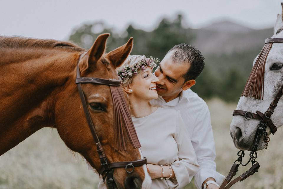 Preboda con caballos