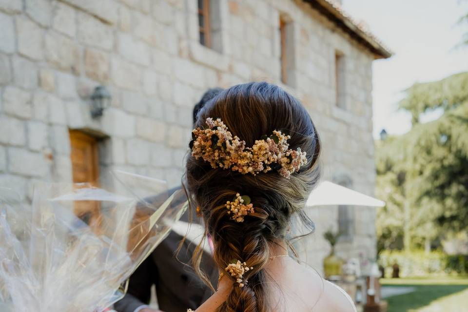 Novia
