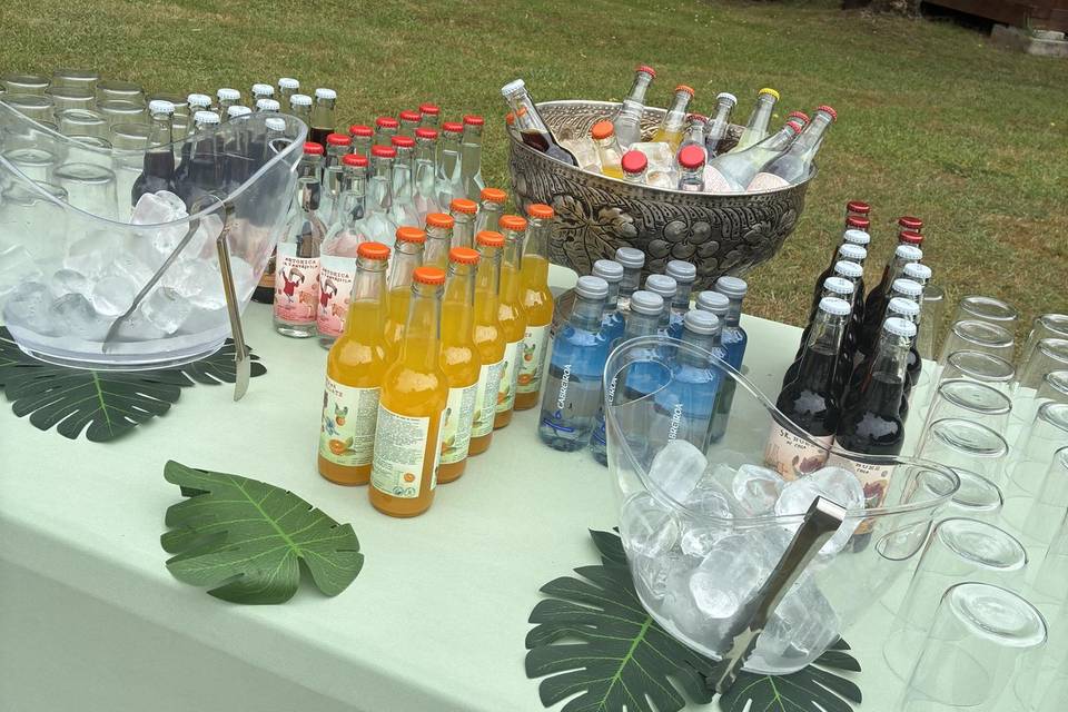 Bebidas