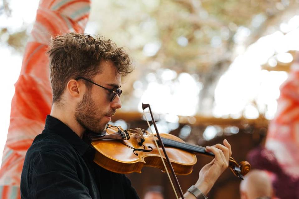 Violin en Braç (Croacia)