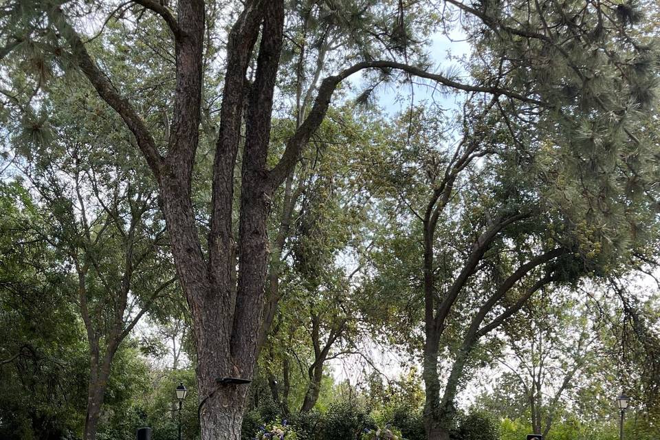 Ceremonia al aire libre