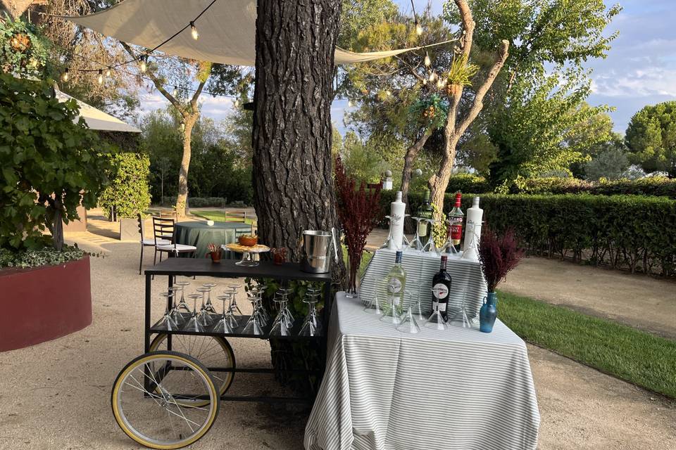 Corner de gin tonic