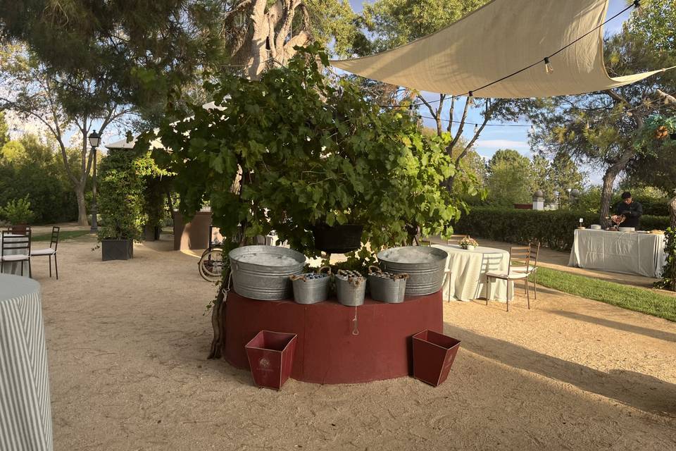 Corner de cervezas