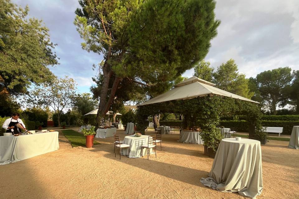 Aperitivos en jardín