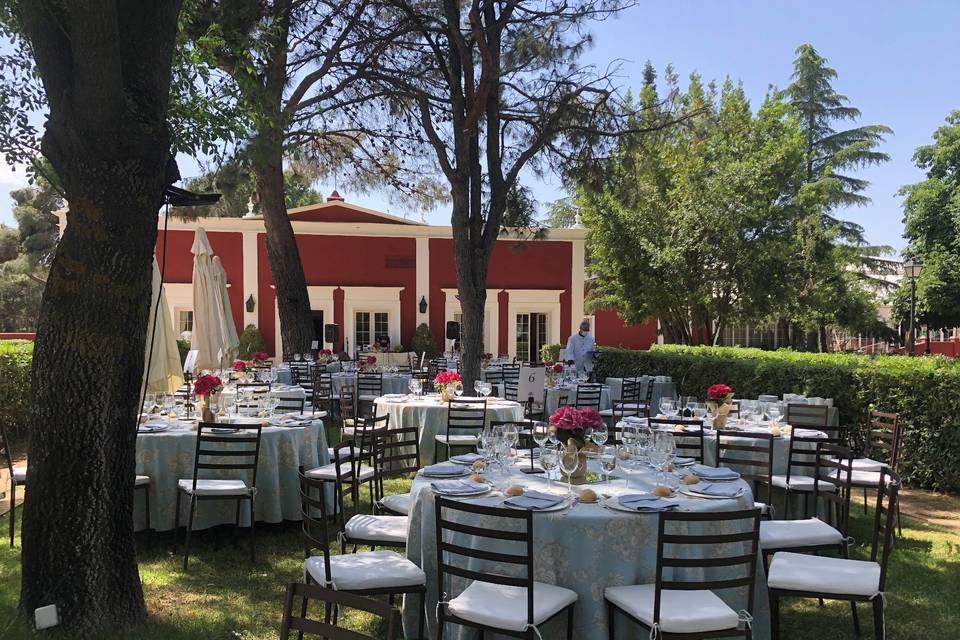 Comida de verano