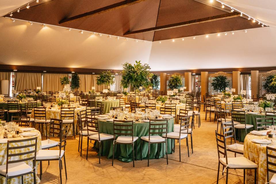Bodas