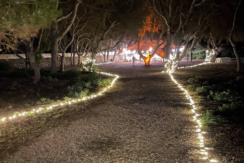 Guia de camino