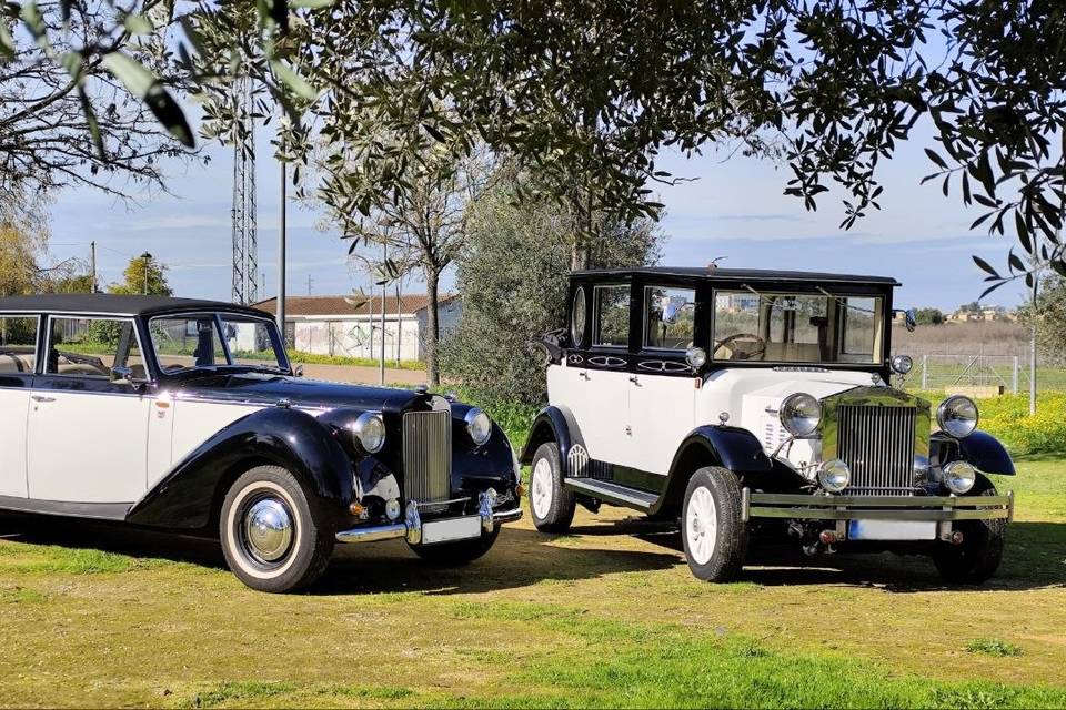 Royal Crown & Imperial