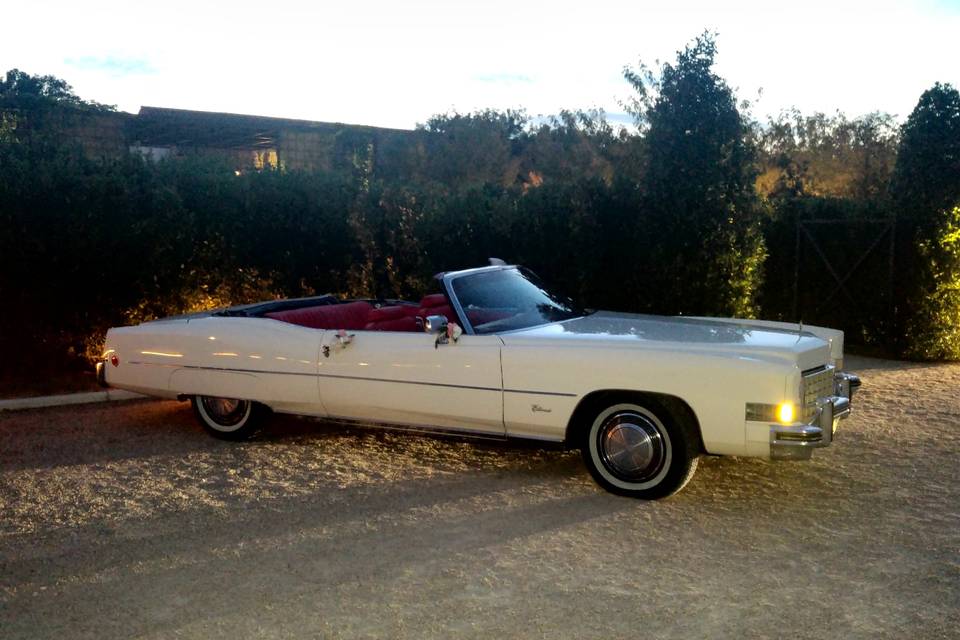 Cadillac Eldorado ecológico