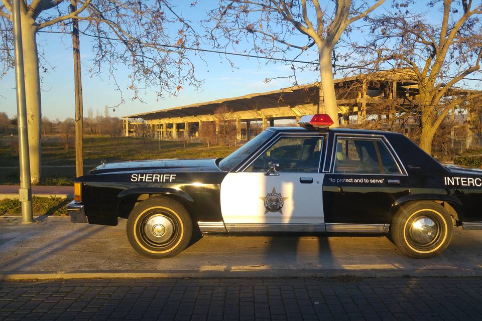 Ford LTD Crown Victoria (1986)