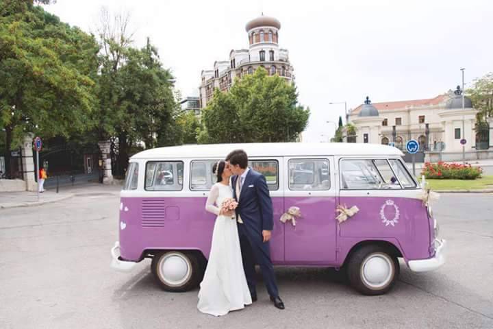 VW T1 Violeta