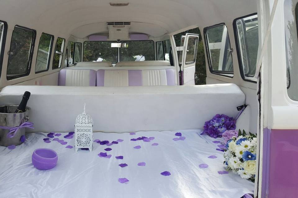 VW T1 Violeta