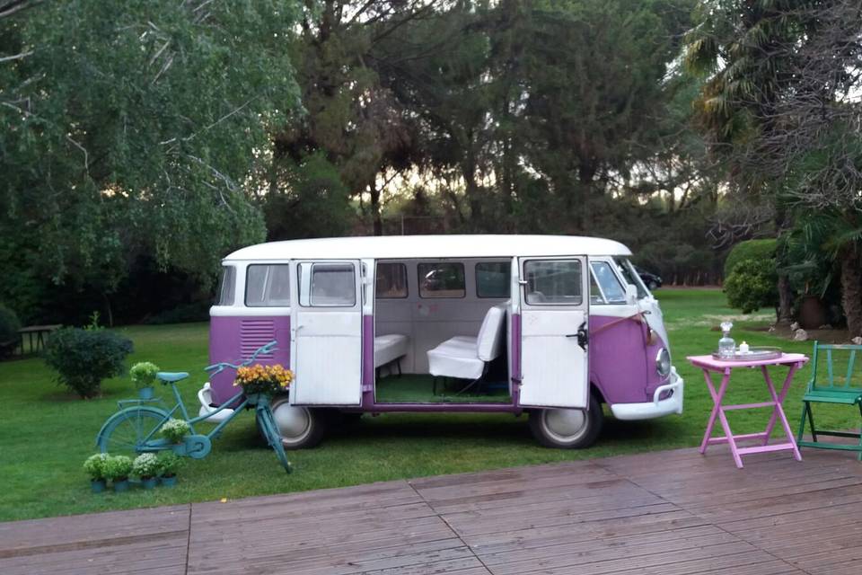 VW T1 Violeta